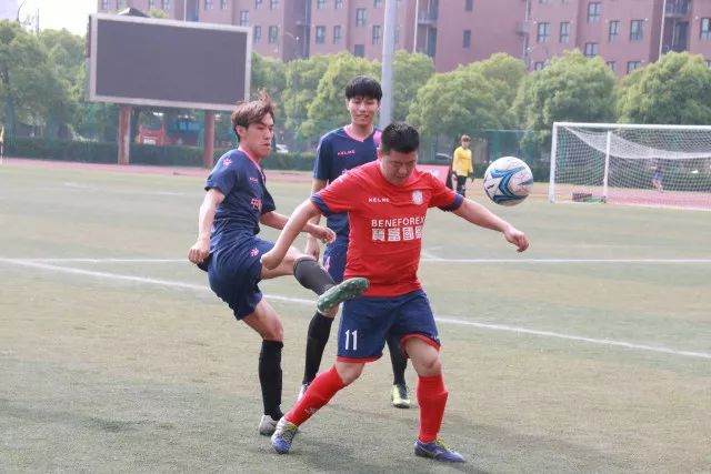 羊肉价格突破80元/公斤，牛羊肉市场持续走强